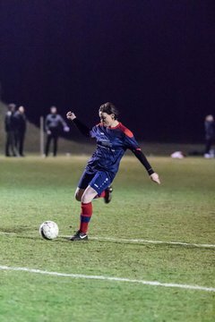 Bild 30 - Frauen TuS Tensfeld - TSV Wiemersdorf : Ergebnis: 1:1